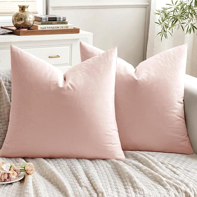 EMEMA Pack of 2 Velvet Throw Pillow Covers Decorative Square Pillowcase Soft Solid Cushion Case for Sofa Bedroom Chair Car 20x20 Inch Pink