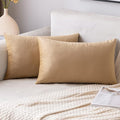 EMEMA Pack of 2 Velvet Throw Pillow Covers Decorative Rectangle Pillowcase Soft Solid Cushion Case for Sofa Bedroom Chair Car 12x20 Inch Khaki
