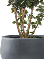 Kante 19.6",15.7",11.8" Dia Round Concrete Planters Set of 3, Outdoor Indoor Garden Plant Pots with Drainage Hole and Rubber Plug, Modern Curvaceous Design, Charcoal