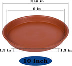 6 Pack of 10 inch Plant Saucer, Heavy Duty Plastic Pot Saucer 10" Round, Planter Tray for Pots, Plant Saucers for Indoors, Pot Trays for Planter 8"/9"/10" (10 inch, Terracotta)