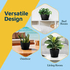 Black 6-Inch Plant Pots with Drainage & Saucers 24 Pack, Indoor & Outdoor Planters for Houseplants, Herbs, and Flowers, Durable & Weatherproof Material, Stackable, Lightweight, Minimalist Design
