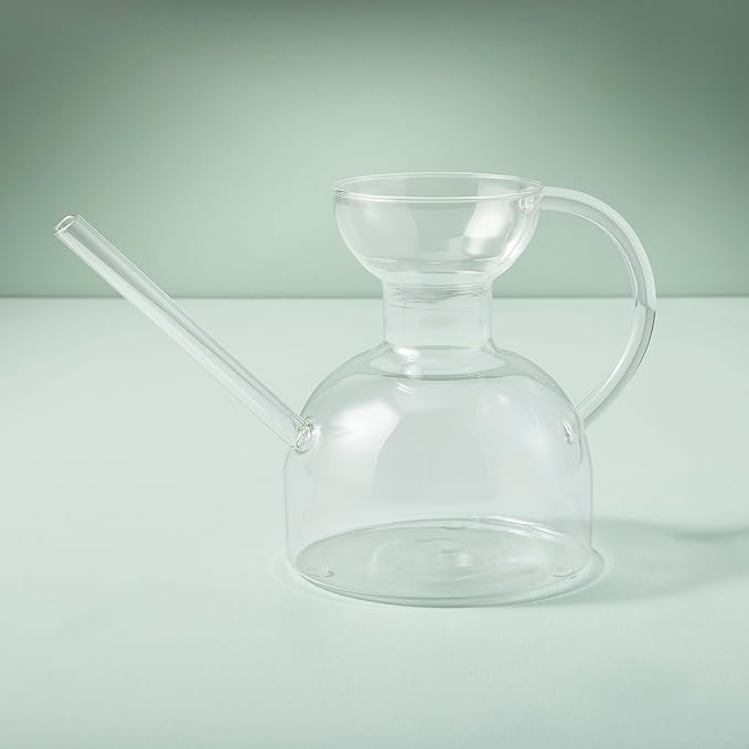 Modern Sprout Plant Watering Can - Handcrafted from Borosilicate Glass - Long Spout Vessel for Indoor Plants - 32 Oz Capacity - Multipurpose Watering Can and Flower Vase for Houseplants (Clear)
