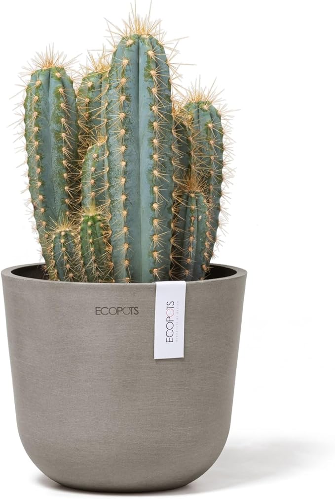 Ecopots Oslo Mini Durable Modern Round Indoor/Outdoor Recycled-Based Composite Flower Pot Planter, Taupe, 6"
