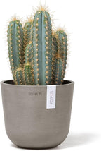 Ecopots Oslo Mini Durable Modern Round Indoor/Outdoor Recycled-Based Composite Flower Pot Planter, Taupe, 6"