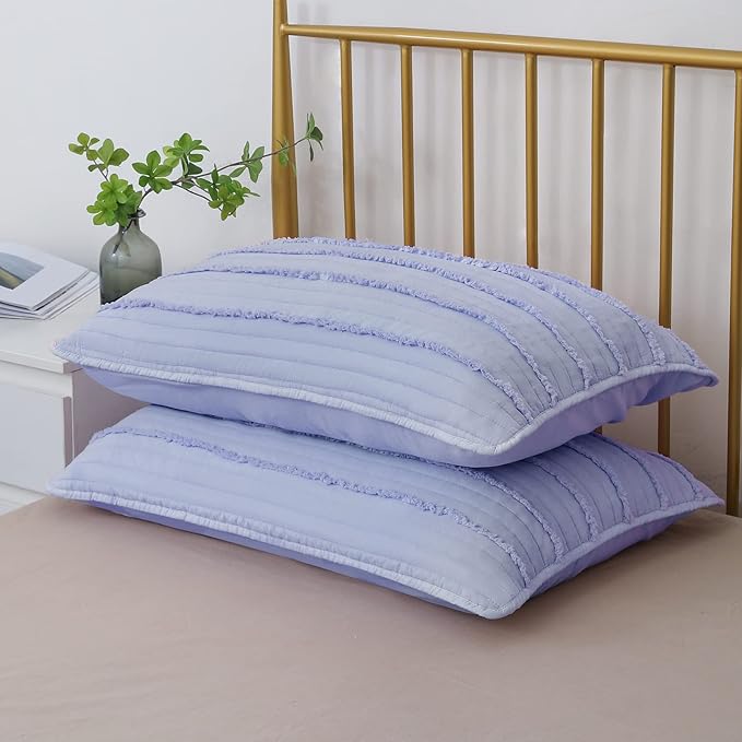 BOSOWOS Standard Size Pillow Shams Set of 2, Ultra Soft Breathable 20 x 26 Inches Pillow Case Envelope Closure, Microfiber Farmhouse Bed Pillowcases for Easy Care, Light Cornflower Blue