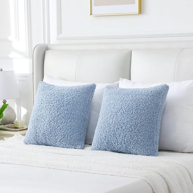 FUTEI Light Blue Throw Pillow Covers 20x20 Inch Set of 2,Furry Faux Fur Teddy Boucle Textured Cushion Covers,Soft Fluffy Decorative Pillow Case,Home Decor for Couch Bed Living Room Office Car