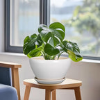 Ceramic Planter - 9 Inch Plant Pot Indoor with Drainage Hole and Saucer for Outdoor Plants Mid-Century Round Planter Modern Flower Pot for House Garden White