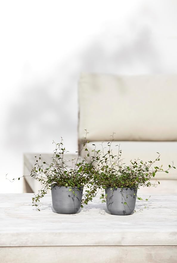 Ecopots Oslo Mini Durable Modern Round Indoor/Outdoor Recycled-Based Composite Flower Pot Planter, Grey, 4.5"