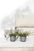 Ecopots Oslo Mini Durable Modern Round Indoor/Outdoor Recycled-Based Composite Flower Pot Planter, Grey, 4.5"