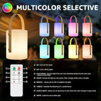 uuffoo LED Lamp Lantern Table Lamp Cordless Shower Lamp IP44 RGB and Warm White Dimmable for Indoor Outdoor Patio Camping Restaurant Home (White B)