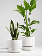 LE TAUCI Large 14 Inch Plant Pot with Saucer | Ceramic Outdoor & Indoor Big Planter Pot | Drainage Hole, Mesh Pad & Plug | Unglazed Porous | Modern Minimalist for Home and Patio – Chalk White
