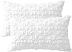 OTOSTAR Set of 2 Xmas Soft Plush Short Wool Velvet Decorative Throw Pillow Covers Rectangular Luxury Style Cushion Case Pillow Shell for Sofa Bedroom Snowflake White, 16x24 Inch