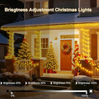 echosari Connectable Christmas String Lights, 400 LED Dual Color Changing String Lights Plug in 66Ft with Timer for Tree Garden Indoor Decor (Warm White & Multicolor)