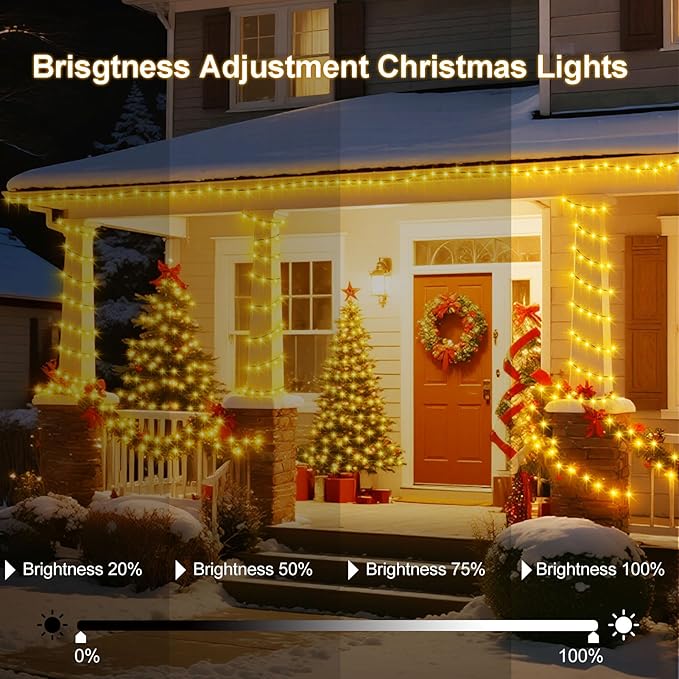 echosari Connectable Christmas String Lights, 400 LED Dual Color Changing String Lights Plug in 66Ft with Timer for Tree Garden Indoor Decor (Warm White & Multicolor)