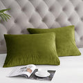 PHF Super Soft Velvet Pillowcases Standard Size, No Insert, 2 Pack Luxury Cozy Warm Pillow Shams Covers with Envelope Closure, 20" X 26" Cozy Fuzzy Flannel Pillow Case, Olive Green