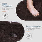 Walensee Bathroom Rug Non Slip Bath Mat (16 x 24, Brown) Water Absorbent Soft Microfiber Shaggy Mat Machine Washable Thick Plush Rugs for Shower