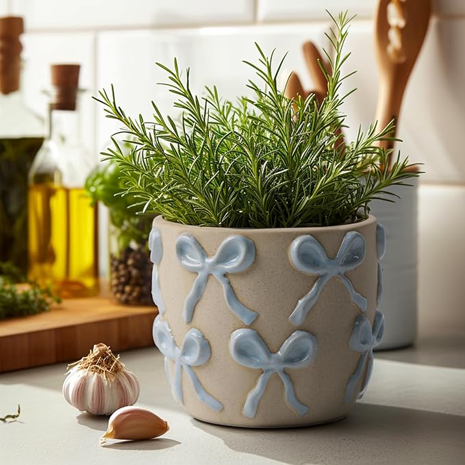 Ceramic Flower Pots for Indoor and Outdoor Plants, Succulent Orchid Round Clay and Terracotta Planter for Garden Home Modern Decoration 5.3 Inch (Blue Bow, Without Saucers)
