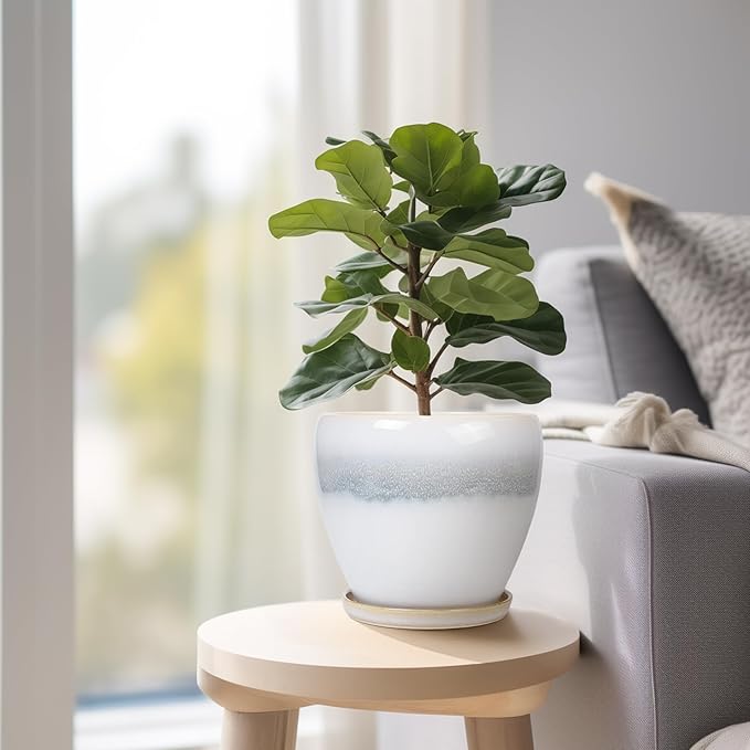 6 Inch Plant Pot - Ceramic Planters for Indoor Ourdoor Plants, Modern Succulent Pot, Round Planter with Drainage Hole and Saucer, Room Office Garden Home Decor, Plant Lover Gifts, White-Grey