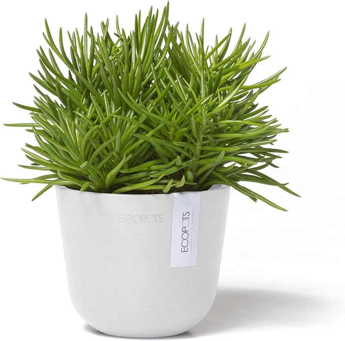 Ecopots Oslo Mini Durable Modern Round Indoor/Outdoor Recycled-Based Composite Flower Pot Planter, Pure White, 4.5"