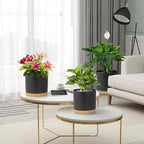 12/10/8 inch Large Plant Pots, 3 Pack Tall Deep Cylinder Flower Pots for Outdoor Indoor Plants, Plastic Planters with Drainage Holes and Saucers for Garden House Plants, Black with Brown