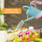 Metal Watering Can for Outdoor Plants, 1 Gallon Galvanized Steel Watering Can with Removable spout for Outdoor & Indoor Use, Perfect for Garden Flower, Houseplants, Mint