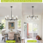 9MMML 8 Lights Black and Gold Chandelier, Modern Glass Ceiling Chandelier Light Fixture, Large Ceiling Hanging Light for Dining Room, Living Room, Bedroom, Kitchen, Over Table, Foyer, E26 Base