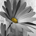 Rustic Farmhouse Shower Curtain, Farm Gray Grey Daisy Floral Flowers and Butterfly on Country Wooden Shower Curtain for Bathroom, Gray White Yellow Shower Curtain with 12PCS Hooks, 48X70IN