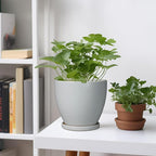 6.8 Inch Planter - Ceraimc Pots for Indoor Outdoor Plants Round Planters Modern Flower Pot with Drainage and Tray Home Garden Decor Gray