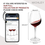 MICHLEY Unbreakable Red Wine Glasses 17 oz, Tritan Plastic Reusable Stemware for Indoor and Outdoor Use, Set of 6
