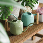 Green Moon Watering Can Indoor Plants 1.2L/41oz Sage Green Water Can Indoor Metal Small Water Can Pot with Long Spout for House Bonsai Plants Garden Flower Decorative