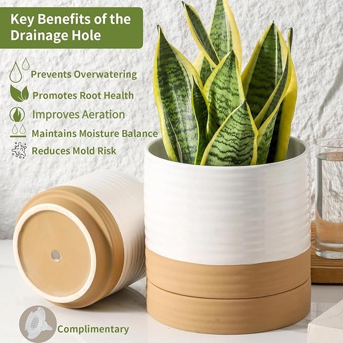 6 Inch Ceramic Planter Pot with Drainage Hole and Saucer,Round Flower Plant Pot for Indoor Outdoor,Porcelain Garden Pots for Farmhouse Decorative with Deep Reservoir,White