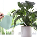 Plant Watering Can - Plastic Indoor and Outdoor - 1/2 Gallon - Green