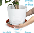 3 Inch (2.5 Inch Base) Case of 5 Plant Saucer - Terra Cotta Colored Polypropylene - Heavy Duty Indoor/Outdoor Tray and Drip Pan - Collects Flower Pot Excess Water Made in USA