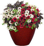 Classic Home and Garden Cali Modern Round Resin Planter for Indoor Outdoor Plants (13" Lava Red)