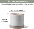 8 Inch Plant Pot: Ceramic Planter with Drainage Hole & Saucer - Cylinder Round Flowerpot for Indoor & Outdoor Plants - with Separate Tray for Home & Office - Retro Style, Grey