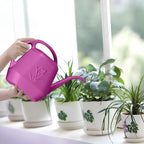 Plastic Watering Can - for Home Plant Garden - 1/2 Gallon - Rose Red