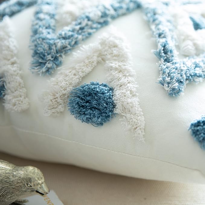 Set of 2 Cotton Woven Boho Throw Pillow Covers, Tufted Decorative Square Pillowcases Covers with Tassels for Couch Sofa Bed, Living Room Sofa, Farmhouse, 18x18 Inch Blue(2 pcs)
