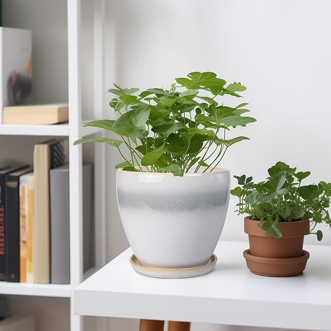 6 Inch Plant Pot - Ceramic Planters for Indoor Ourdoor Plants, Modern Succulent Pot, Round Planter with Drainage Hole and Saucer, Room Office Garden Home Decor, Plant Lover Gifts, White-Grey