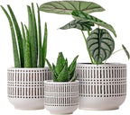 Docrin Plant Pots Ceramic: 6.5+5.3+4 Inch Flower Pots with Drainage Holes for Plants, Modern Flower Pots for Home and Office, Indoor-Outdoor - Set of 3/White and Black
