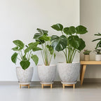 10 Inch Plant Pot Ceramic Planter Pot with Drainage Hole and Saucer Round Planter Large Flower Pot for Indoor Outdoor Plants Home Garden Decor White