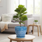 8 Inch Plant Pot - Ceraimc Planter for Indoor Outdoor Plants, Round Flower Pot with Drainage and Saucer, Decorative Planter, Porch Room Office House Decor, Gardening Gifts for Women, Blue