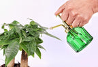 Glass Plant Mister Spray Bottle, 6.5" Green Glass Water Spray Bottle with Gold Top Pump Small Watering Can, Small Plant Sprayer Mister for Indoor Outdoor House Plant, Green+Gold (Green+Gold B)