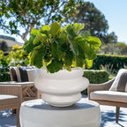 Ceramic Plant Pots Bonsai 11 Inch - Flower Pots for Indoor Plants, Large Plant Pots with Drainage Hole, Decorative Planter Outdoor Flower Pot for Office, Gift for Men Women, White
