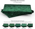 PHF Truly Velvet Pillowcases King Size, No Insert, 2 Pack Ultra Soft Breathable Pillow Shams Covers with Envelope Closure, 20" X 36" Luxury Cozy Warm Fuzzy Flannel, Emerald Green