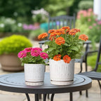 Pot for Plants 6 Inch - Ceramic Planter for Indoor Plants Decorative Plant Pot with Drainage Holes and Saucer Outdoor Flower Pot Modern Succulent Pots for Office Desk Decor White