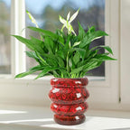 Ceramic 5 inch Plant Pot - Planter for Indoor Plants with Drainage Hole, Flower Pots for Orchid, Succulent,Outdoor Plants, Modern Glaze Planters for Home Office Decor Gift