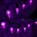 WATERGLIDE Halloween C6 String Lights, 33ft 100 LED Black Wire Fairy Lights with 29V Safe Adaptor, 8 Lighting Mode, Waterproof for Indoor Outdoor Patio Xmas Tree Party Decor, Purple