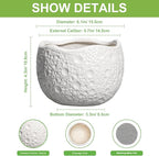 Ceramic Pots for Plants - 6 Inch Plant Pot for Indoor Outdoor, Decorative Orchid Pots with Drainage Hole, Unique Round Modern Planters, Home Decor, Gifts for Plant Lovers, White
