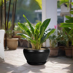 Ceramic Pot for Plants Large - 13 Inch Plant Pot Indoor with Drainage Hole and Saucer Round Planter Decorative Planter Outdoor Flower Pot for House Decor Balcony Black