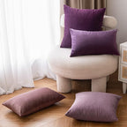 EMEMA Pack of 2 Velvet Throw Pillow Covers Decorative Square Pillowcase Soft Solid Cushion Case for Sofa Bedroom Chair Car 18x18 Inch Eggplant Purple